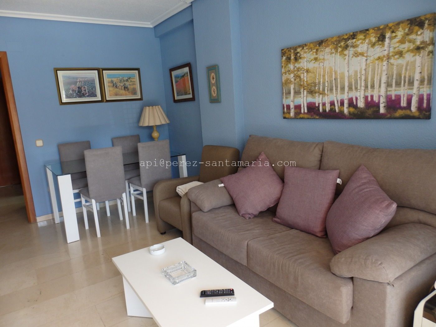 P5170003 Apartamento en centro Albir